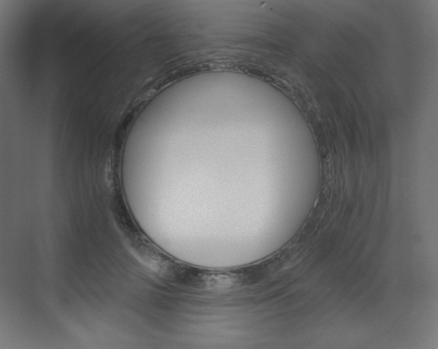 X0000073430698200607281005