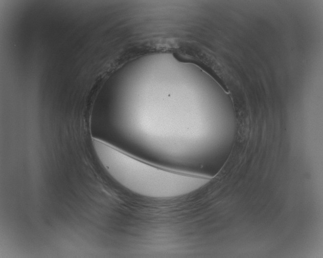 X0000073430704200607281005