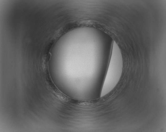 X0000073430708200607281005