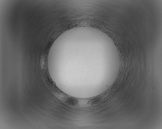 X0000073430709200607281005