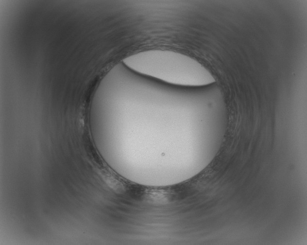 X0000073430710200607281005