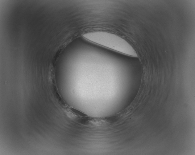 X0000073430712200607281005