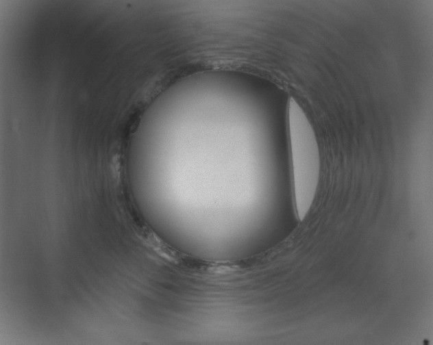 X0000073430716200607281005