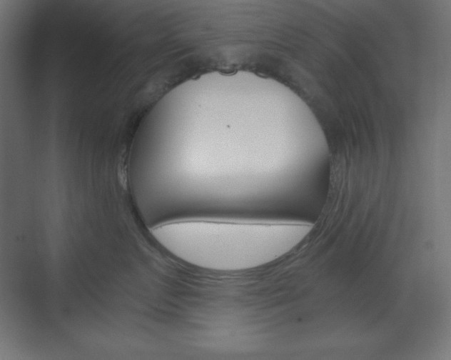 X0000073430719200607281005