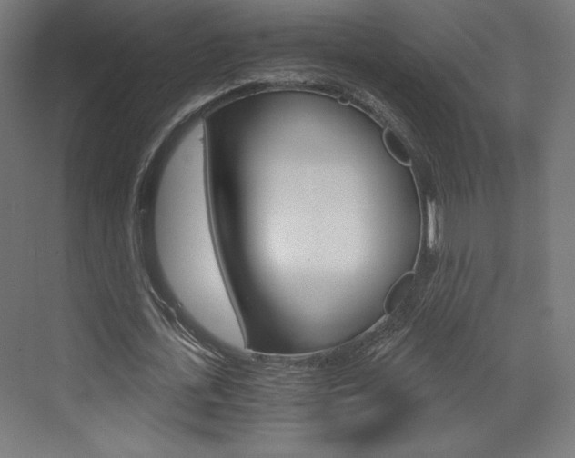 X0000073430723200607281004