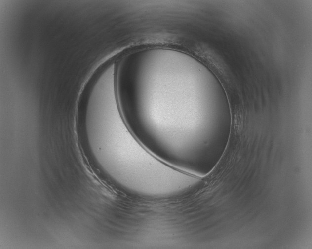 X0000073430724200607281004