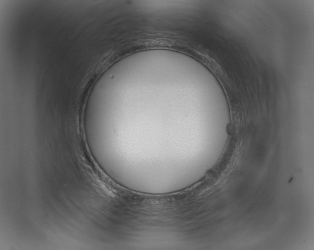 X0000073430729200607281004