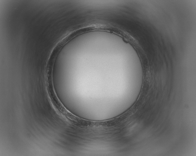 X0000073430730200607281004