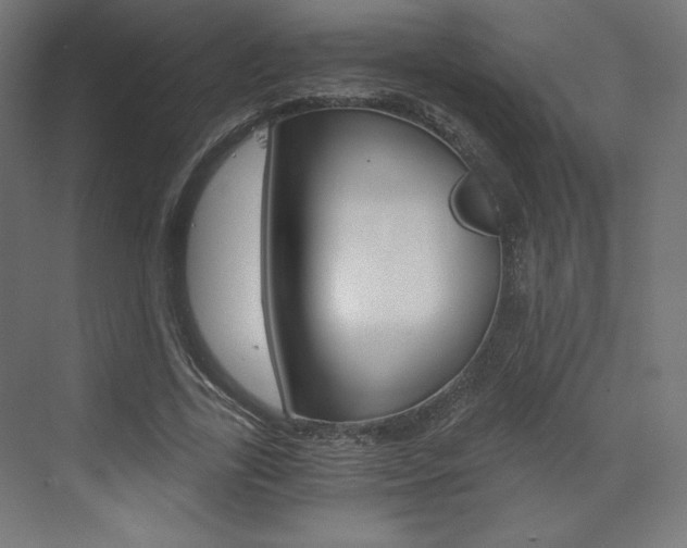 X0000073430731200607281004