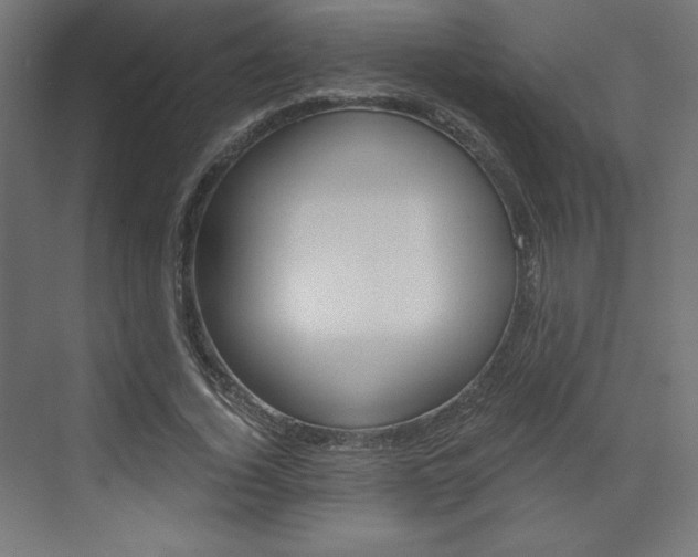 X0000073430732200607281004