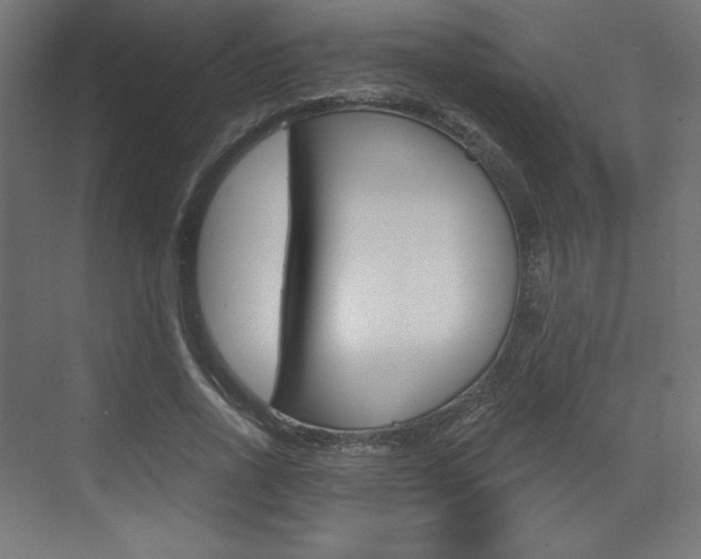 X0000073430734200607281004