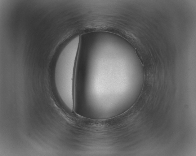 X0000073430735200607281004