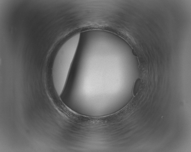 X0000073430736200607281004