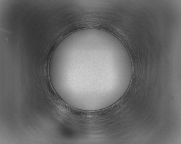 X0000073430737200607281004