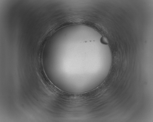 X0000073430739200607281005