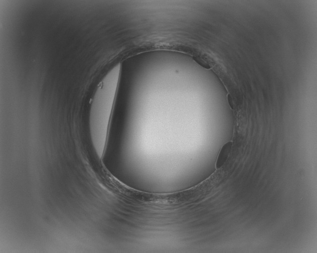 X0000073430740200607281005