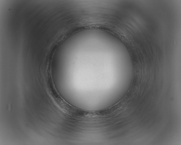 X0000073430742200607281005