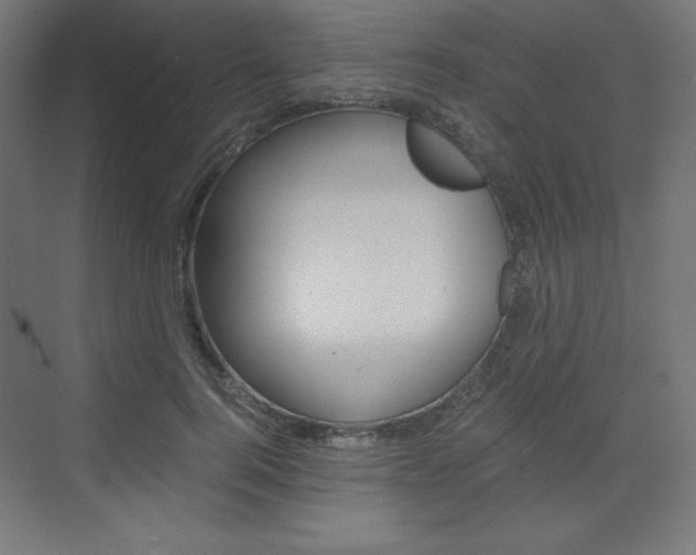 X0000073430744200607281005