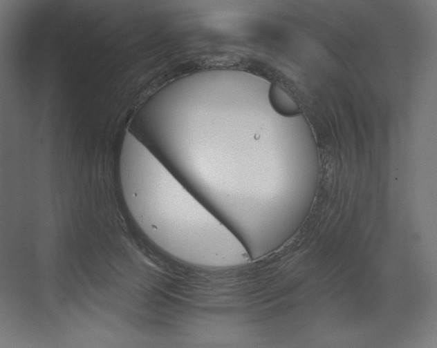 X0000073430745200607281005