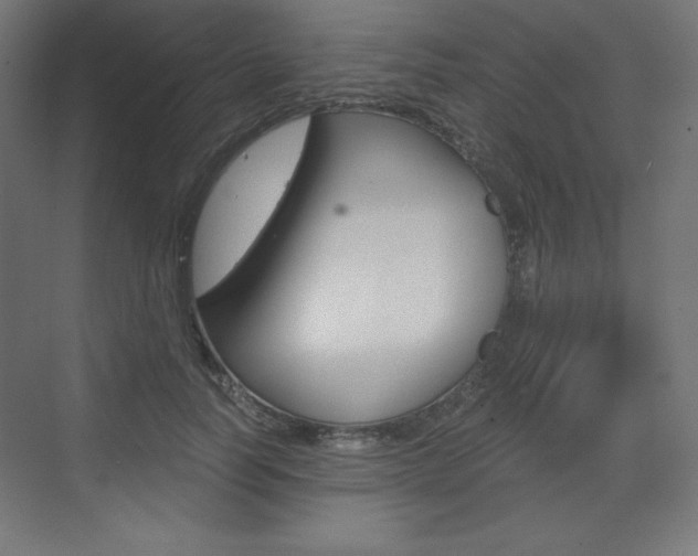 X0000073430746200607281005