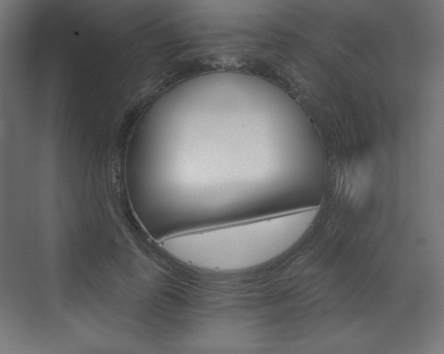 X0000073430747200607281005