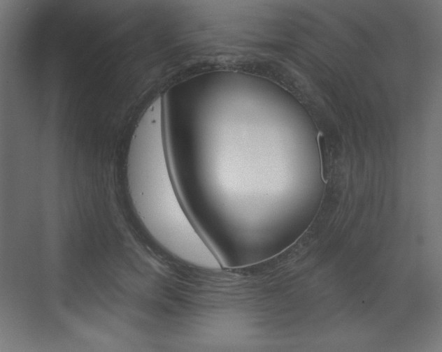 X0000073430750200607281005