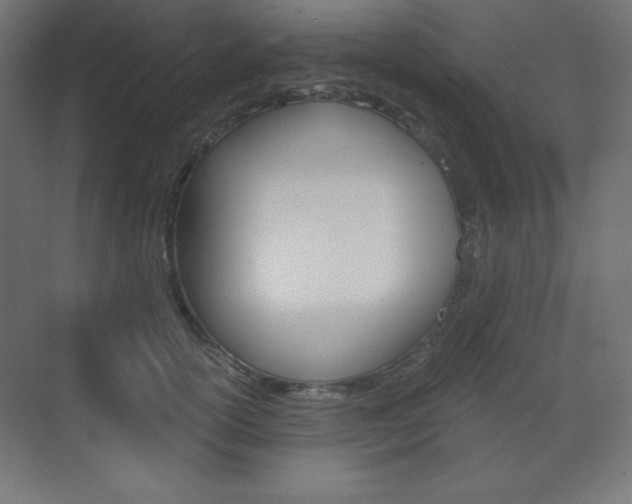 X0000073430754200607281005