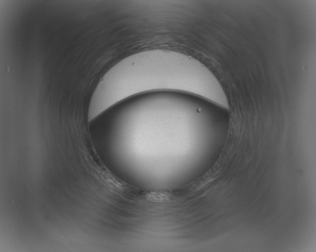 X0000073430762200607281005