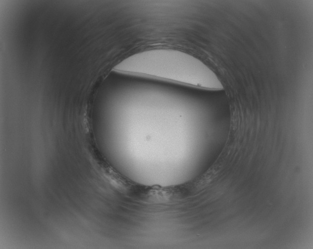 X0000073430764200607281005