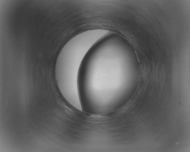 X0000073430766200607281005
