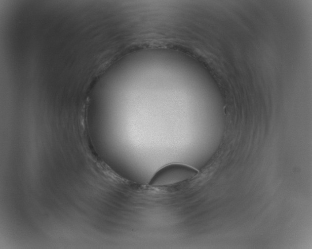 X0000073430768200607281005