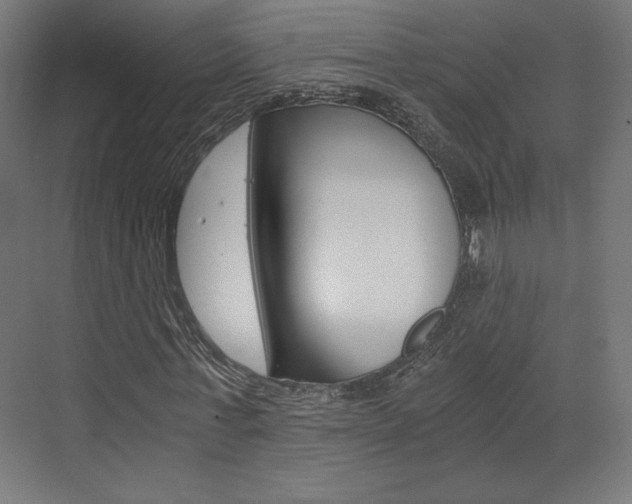 X0000073430771200607281004