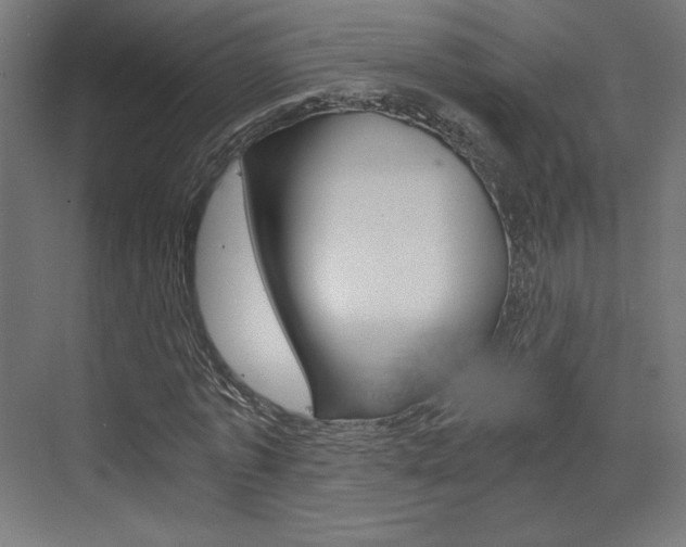 X0000073430773200607281004