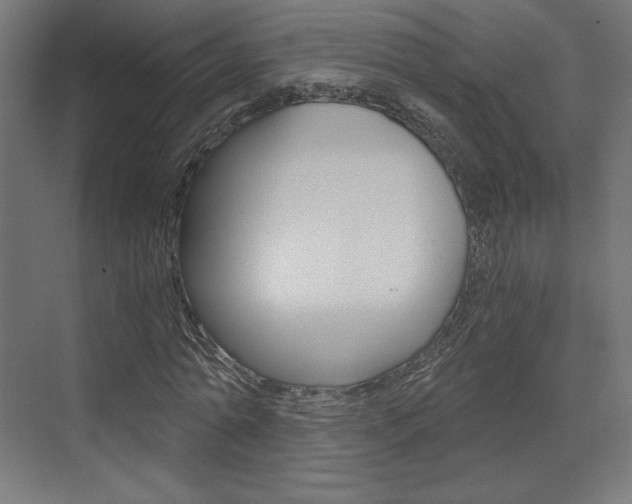 X0000073430774200607281004