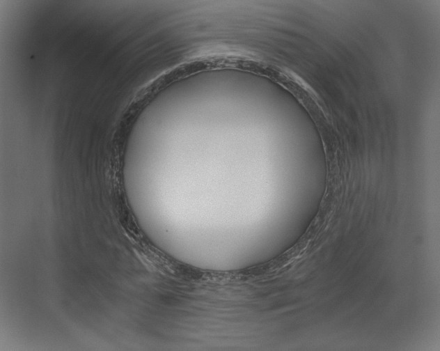 X0000073430775200607281004