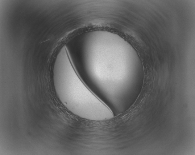 X0000073430776200607281004