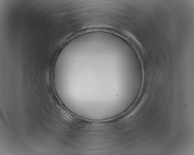 X0000073430777200607281004