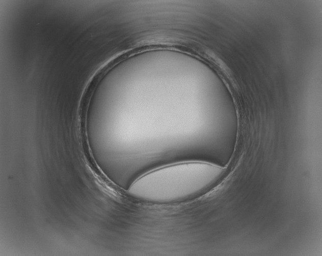 X0000073430779200607281004