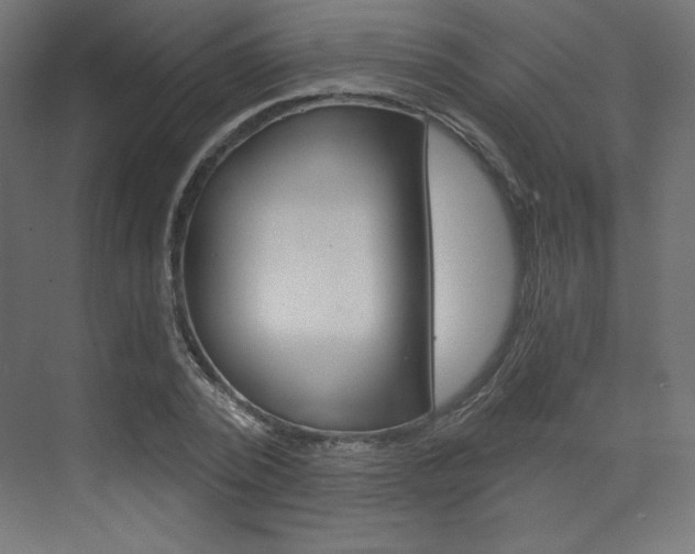 X0000073430784200607281004