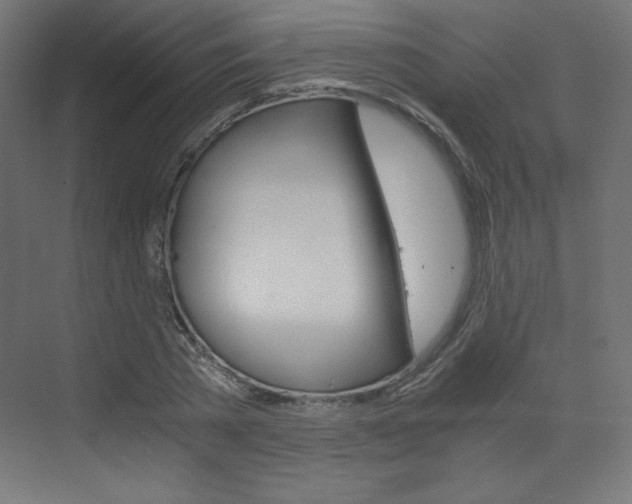 X0000073430785200607281004