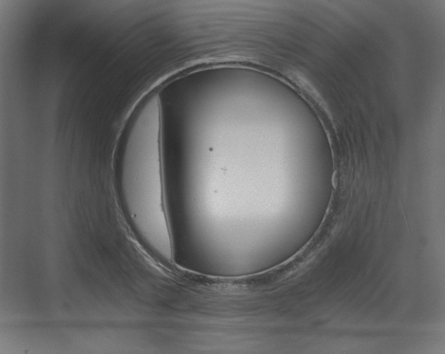 X0000073430789200607281004