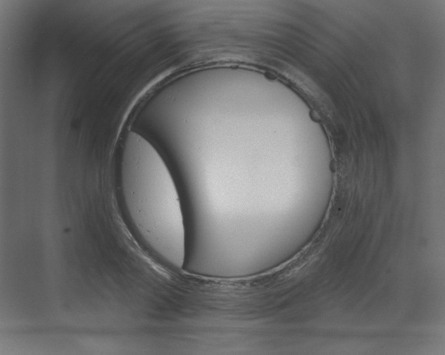 X0000073430790200607281004