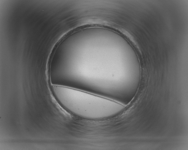 X0000073430791200607281004