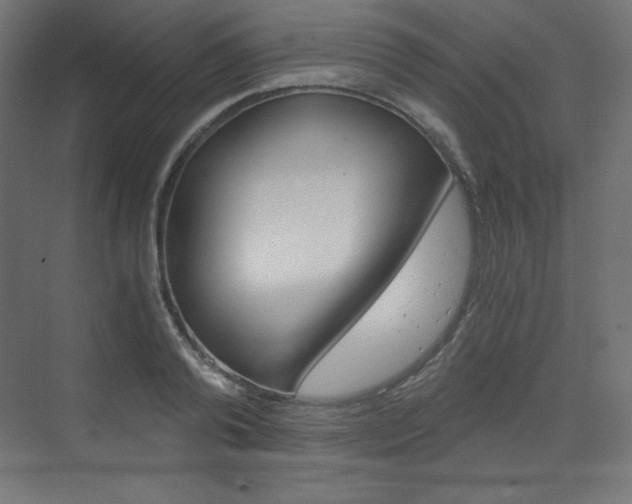 X0000073430792200607281004