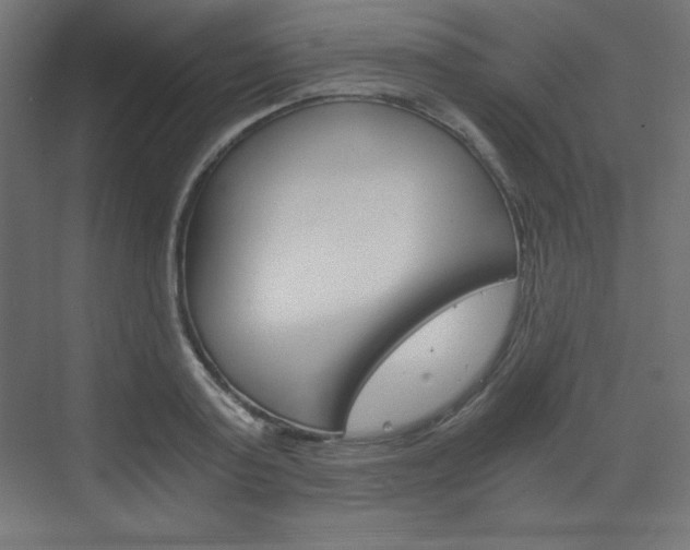 X0000073430795200607281004