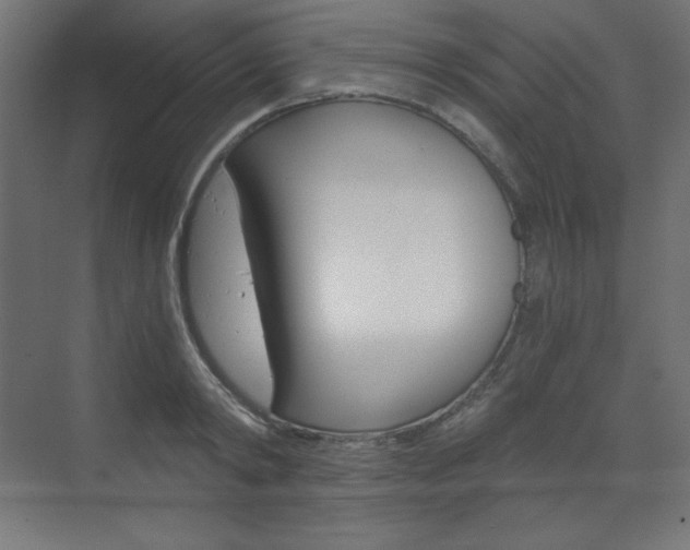 X0000073430798200607281004