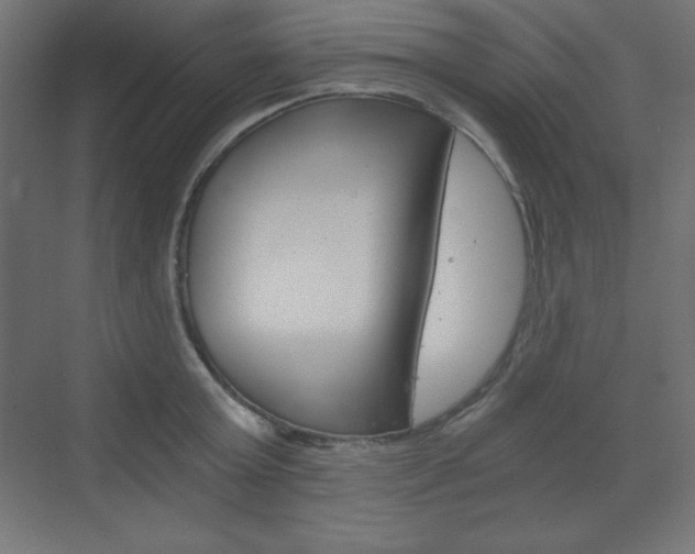 X0000073430803200607281004