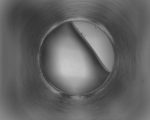 X0000073430805200607281004