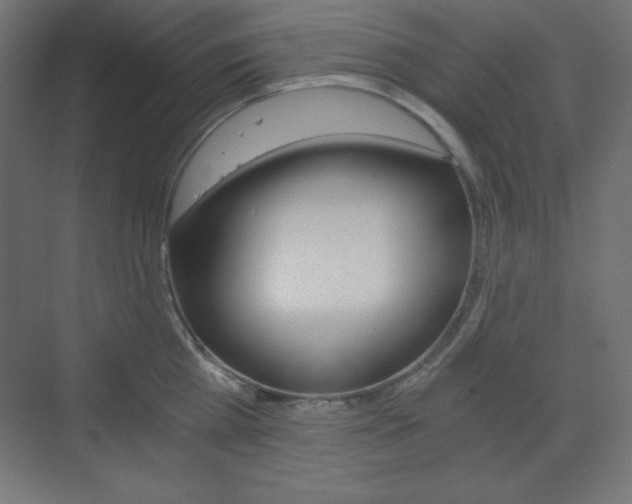 X0000073430809200607281004
