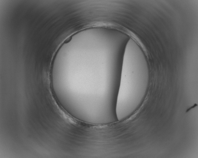 X0000073430810200607281004